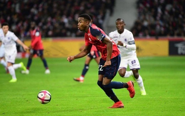 德拉富恩特 德拉富恩特