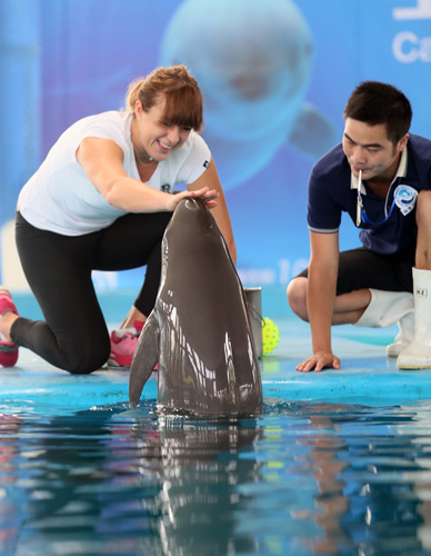 经常在密集 经常在密集